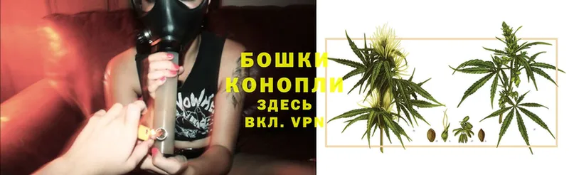 Канабис LSD WEED  мориарти Telegram  Белоозёрский  купить наркоту 